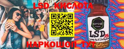 молекула духа Камышлов