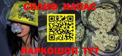 молекула духа Камышлов