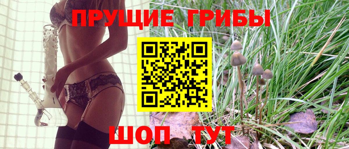 Псилоцибиновые грибы ЛСД Коряжма